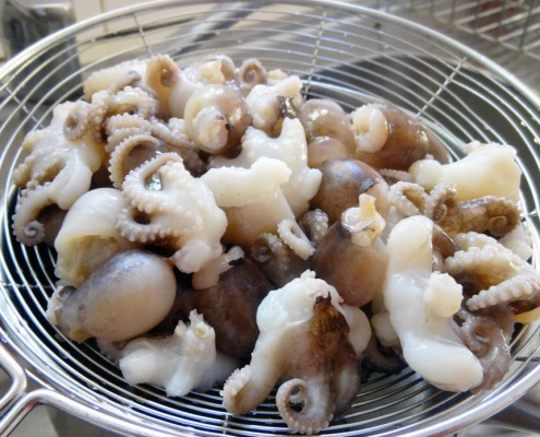 Baby Octopus Blanched